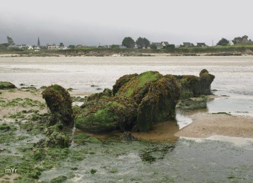 Allee couverte  Quillimadec F1 Guisseny Kerlouan Finistère Bretaña