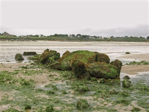 Allee couverte  Quillimadec F2 Guisseny Kerlouan Finistère Bretaña