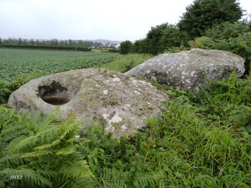 Allée couverte de Créach-ar-Vrenn F1 Plouescat Morlaix Finistère Bretaña