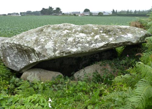 Allée couverte de Créach-ar-Vrenn F2 Plouescat Morlaix Finistère Bretaña