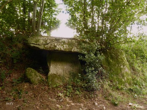 Allée couverte de Kermaout Bannalec  Quimper Finistère Bretaña