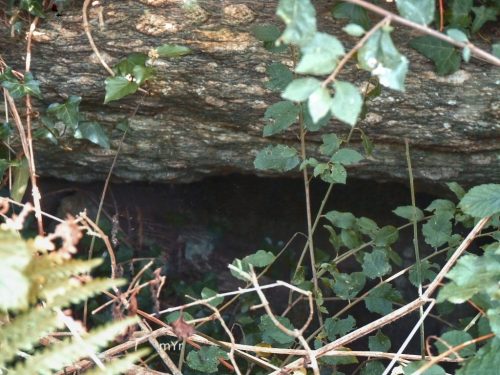  Dolmen de Brétouaré Plounévez-Lochrist Morlaix Finistère Bretaña