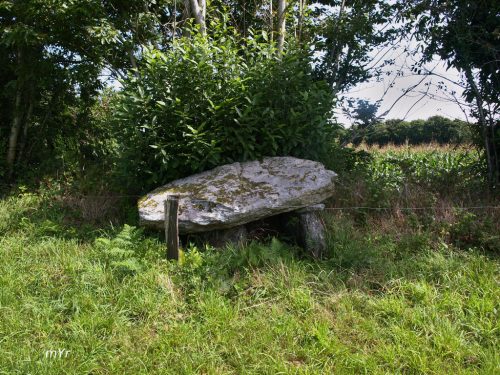 Dolmen de Goalichot Trévoux Lorient Finistère Bretaña
