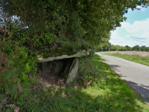 Dolmen de Kerguillotou Pont-Aven Quimper Finistère Bretaña