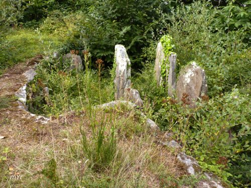 Dolmen de Kerléven F1 Forêt-Fouesnant Quimper Finistère