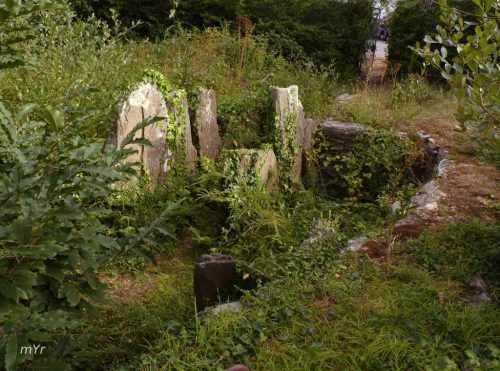 Dolmen de Kerléven F2 Forêt-Fouesnant Quimper Finistère
