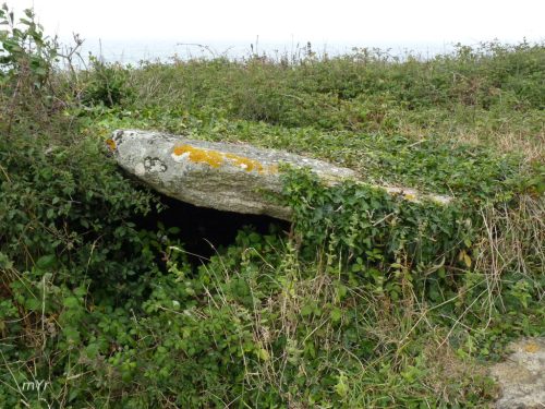 Dolmen de Menez Dregan Plouhinec Quimper Finistère Bretaña