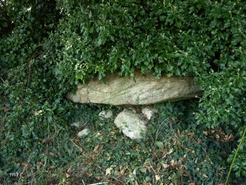 Dolmen de Stang Youen Quimper  Finistère Breteaña