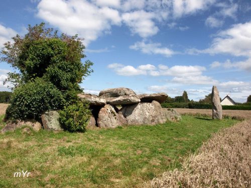 Dolmen-y-menhir-Kercordonner F1 Moëlan-sur-Me
