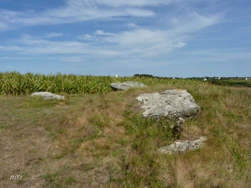 Dolmenes de Reun F1 Plovan Quimper Finistère Bretaña