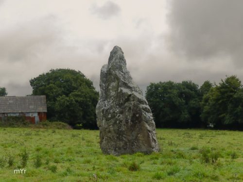 Menhir de Carn Loperhet F1 Brest Finistère Bretaña