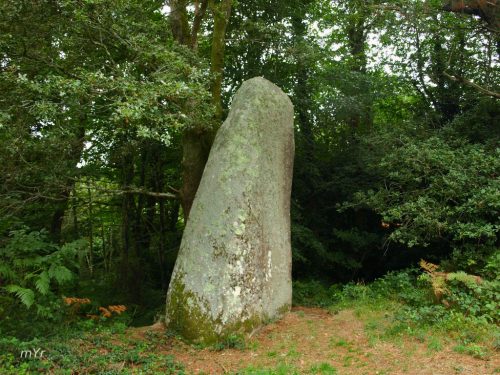 Menhir de Kerangosquer Pont-Aven Quimper Finistère Finistère Bretaña