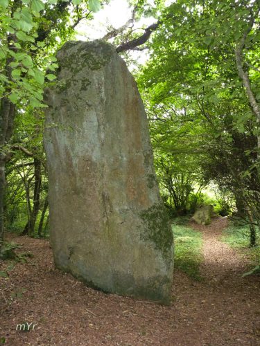 Menhir de Kerglogé  o Morvé Pouldreuzic Quimper Finistère Bretaña