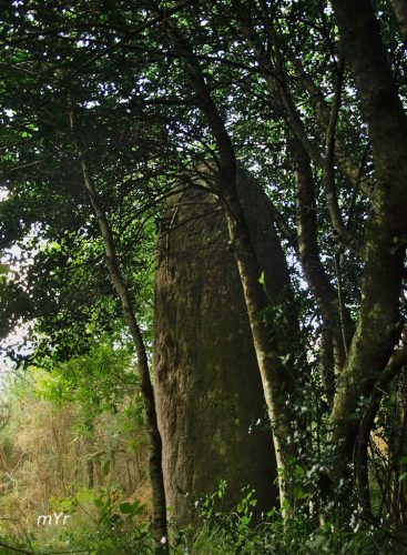 Menhir de Kerminaouët Trégunc  Quimper  Finistère Bretaña