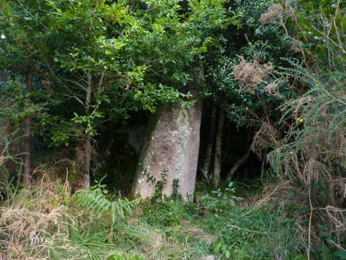 Menhir de Kerminaouët Trégunc  Quimper  Finistère Bretaña
