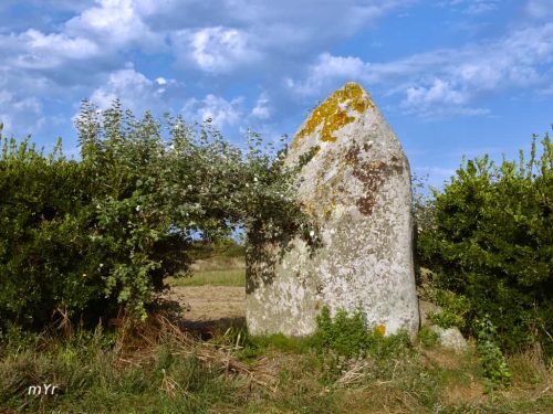 Menhir de Lanvenaë Plomeur Quimper Finistère Bretaña