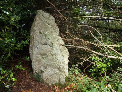 Menhir de Lanveur Fouesnant Quimper Finistère Bretaña