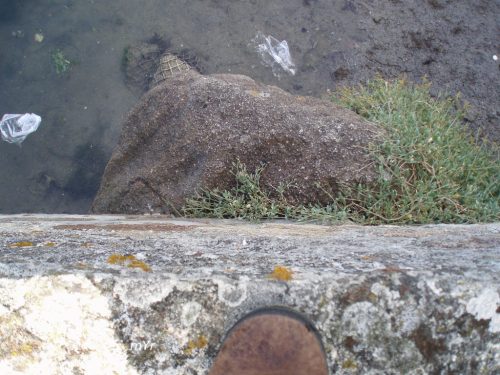 Menhir de MenezRouz Lesconil Quimper Finistère Bretaña