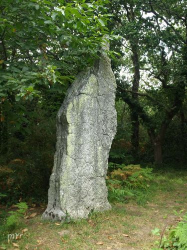 Menhir de Pendreff 1 Plomeur Quimper Finistère Bretaña