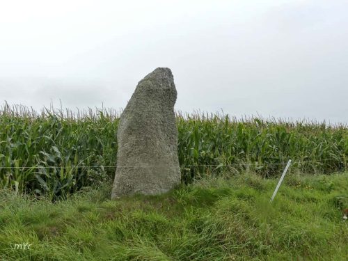 Menhir de Penquerl Landunvez  Brest  Finistère Bretaña