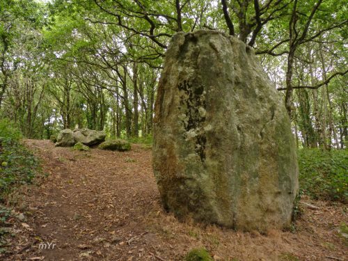 Menhir de Saint-Kodelig Plovan Quimper Finistère Bretaña