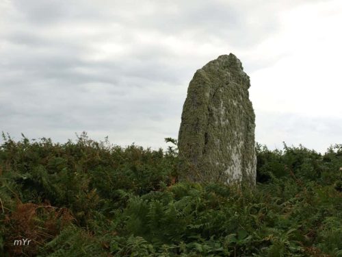 Menhir del Cromlech de Kermorvan  F1 Conquet Brest Finistère