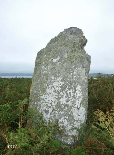 Menhir del Cromlech de Kermorvan  F2 Conquet Brest Finistère