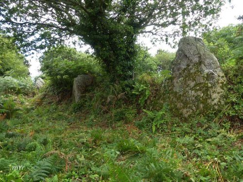 Menhires Kerziou Plougastel-Daoulas Brest Finistère Bretaña