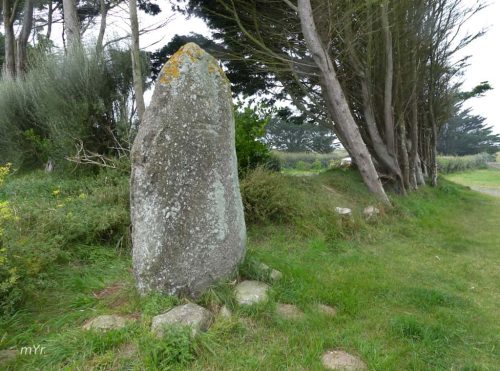 Menhires de Corn ar Gazel 1 Saint-Pabu Brest Finistère Brertaña