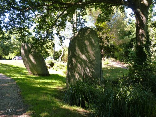 Menhires de Tingoff  F3 Plomelin  Quimper Finistère Bretaña