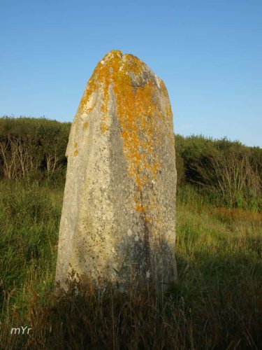 Menhir de Kerharo 1 Plomeur Quimper Finistère Bretaña