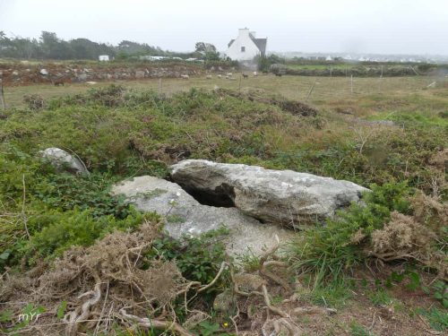 Tumulus de la Pointe de Landunvez Brest Finistère Bretaña
