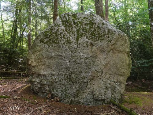 Alignement du Bois de la Folie F2 Renac Ille-et-Vilaine Bretaña