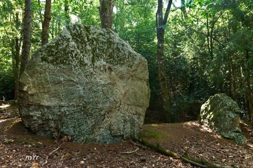 Alignement du Bois de la Folie F1Renac Ille-et-Vilaine Bretaña