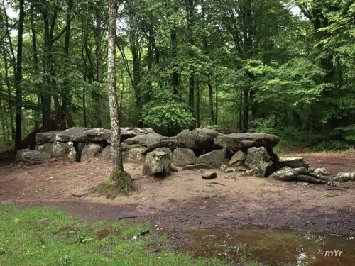 Alle Couverte La Maison des-Fees F1 Tressé Dinan Ille-et-Vilaine Bretaña
