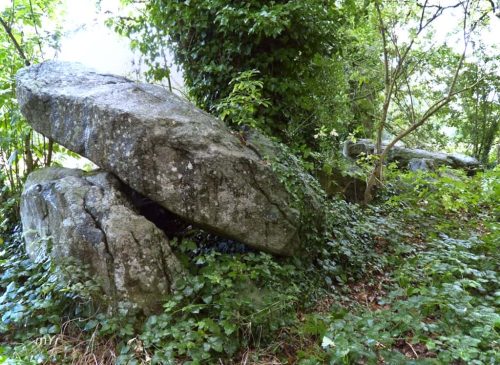 Allée couverte de Four-ès-Feins F2 Miniac-Morvan Dinan Ille-et-Vilaine Bretaña