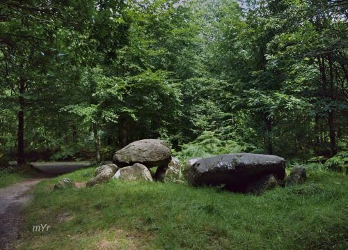 Dolmen Pierre courcoulée Landéan Ille et Vilaine Bretaña
