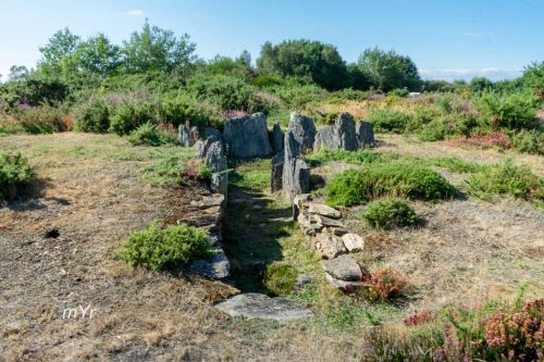 Dolmen sur Saint Pierre Saint Just Redon  Ille-et-Vilaine Bretaña
