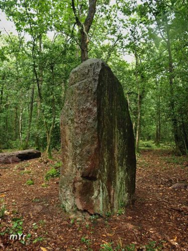 Menhir Pierre de Rumfort Châteaubriant Ille-et-Vilaine Bretaña
