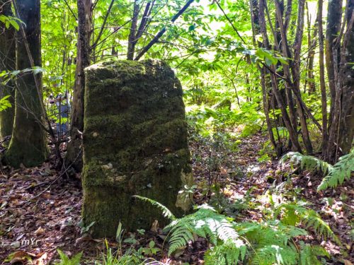 Menhir de la Métairie Neuve 2 Couyère Châteaubriant Ille-et-Vilaine