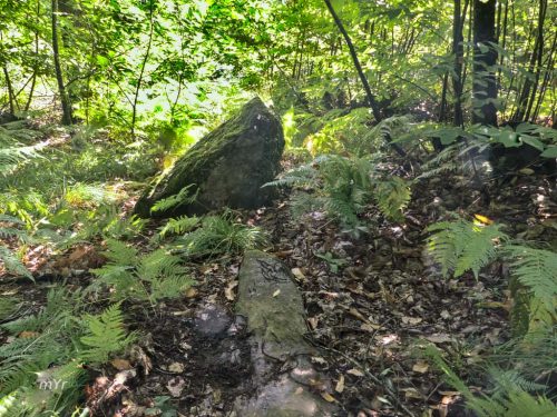 Menhir de la Métairie Neuve 3 Couyère Châteaubriant Ille-et-Vilaine