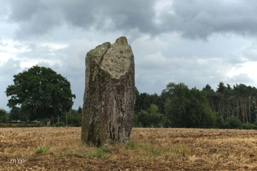 Menhir  la Pierre des Fées F1 Janzé Rennes Ille-et-Vilaine Bretaña