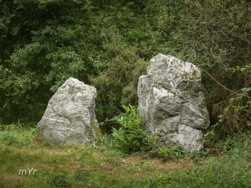 Menhirs des Grées (B) Messac Redon Ille-et-Vilaine Bretaña