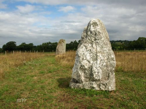 Menhirs du Champ de la Pierre et du Champ Horel Sel-de-Bretagne Rennes Bretaña