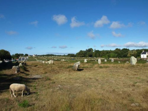 Alineamiento de Ménec  F1 Carnac Vannes Morbhian Bretaña