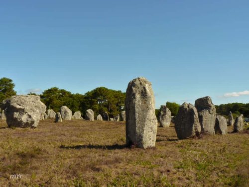 Alineamientos de Kermario Carnac Vannes Morbihan Bretaña