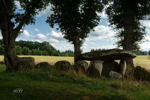 Allée couverte Kerjagu Colpo Vannes Morbihan Bretaña
