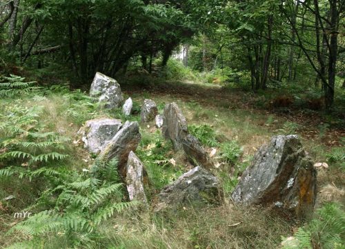 Allée couverte de Beaumont St laurent Sud Oust Redon Morbihan Bretaña