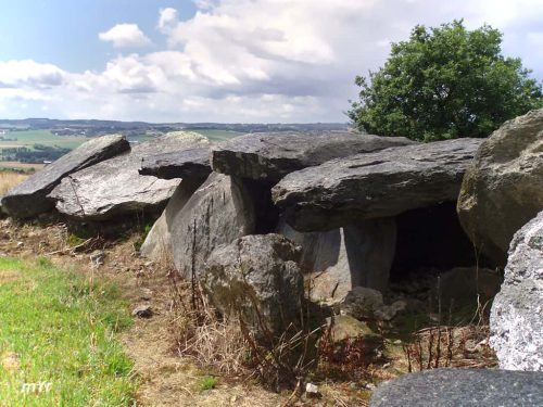 Allée couverte de Bot-er-Mohed F2 Cléguérec Pontivy Morbihan