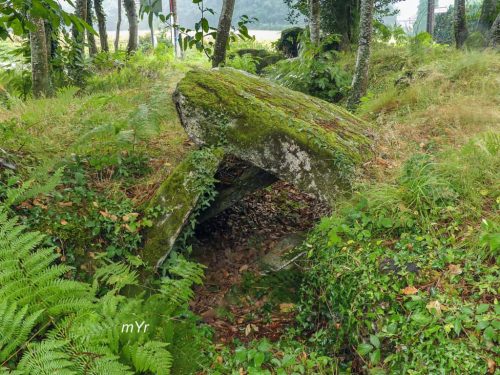 Allée-couverte de Lann-er-Veinn, Camors- Pontivy Morbihan Bretaña